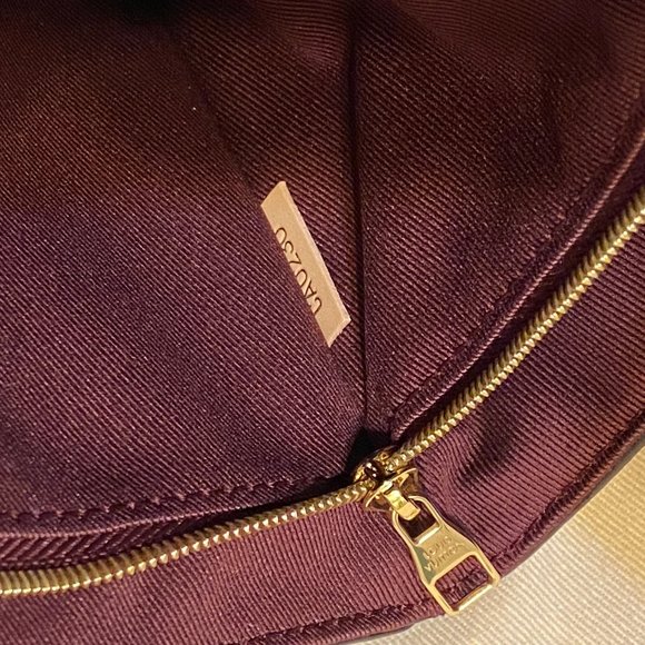 LOUIS VUITTON Cluny BB w/ LV Print Strap, Ltd. Ed - Picture 11 of 16